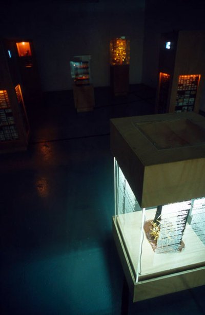 The collector 01