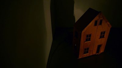 04 Professional Voyeur