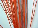 orange lines, like string