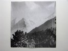 greyscale landscape
