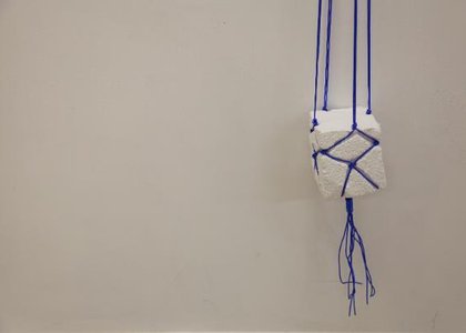 Anna_Horne_Untitled_detail_2013_PVC_clothesline_plaster_paint_180_x_18_x_17._Courtesy_the_artistc1bbca copy