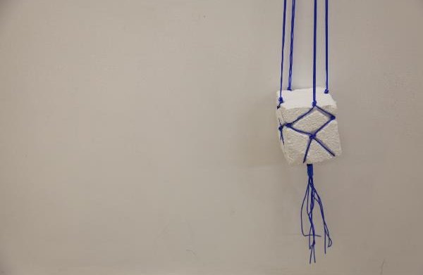 Anna_Horne_Untitled_detail_2013_PVC_clothesline_plaster_paint_180_x_18_x_17._Courtesy_the_artistc1bbca copy