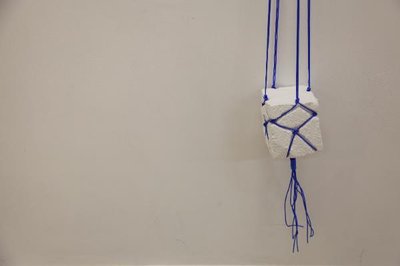 Anna_Horne_Untitled_detail_2013_PVC_clothesline_plaster_paint_180_x_18_x_17._Courtesy_the_artistc1bbca copy