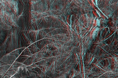 Felix Wilson 2011,The Cartesian Grove#1, Digital print, 80x100cm copy
