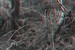Felix Wilson 2011,The Cartesian Grove#1, Digital print, 80x100cm copy