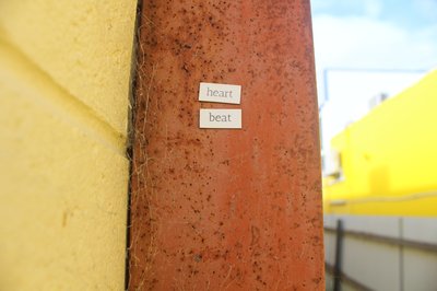 IMG_0167