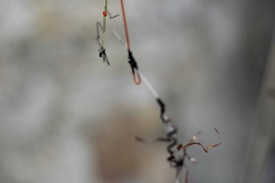 IMG_5583