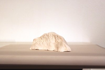 Priscilla-S.-Beck--2017--wallaby-bone-china-model-of-kunanyi--calcifed-wallaby-skull--southern-ice-1