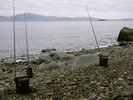 SallyAnnMcIntyre_Construction for Tide and Phyllonites, radio programme transmitted on the beach at Rangatira, Kapiti Island, June 2012