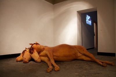 Sharp Hot Stink, Installation view #3, Photographer- Adrian Gebers