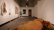 Sharp Hot Stink, Installation view #5, Photographer- Adrian Gebers