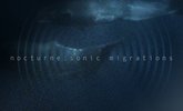 Sonic-Migrations_Title-Only