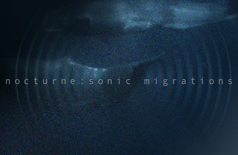 Sonic-Migrations_Title-Only