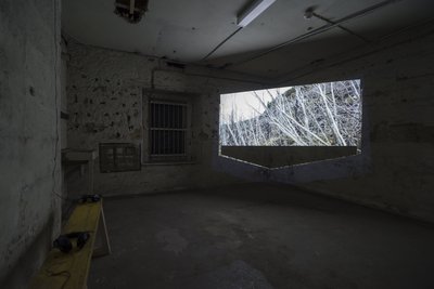 _DSC8818