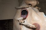 _DSC9142