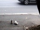photo of items of road, movement of car
