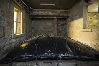 compost1