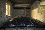 compost1