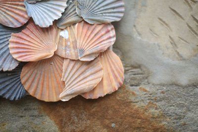 shell-blanket-corner
