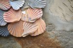 shell-blanket-corner